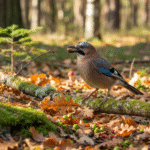 Spalvingasis miško sargas: kodėl kekštai yra gyvybiškai svarbūs mūsų girioms?