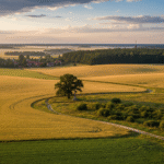 Vilkaviškio krašto fenomenas: Nuo Sūduvos lygumų turtų iki pasienio paslapčių